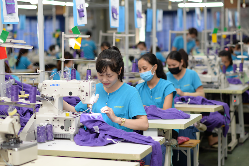 Garment & Textile